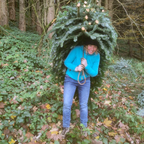 {"id":4809,"disk_name":"69091fad0ea9c433264514.jpg","file_name":"c_05.jpg","file_size":339844,"content_type":"image\/jpeg","title":null,"description":null,"field":"image","sort_order":4809,"created_at":"2025-11-03T21:33:33.000000Z","updated_at":"2025-11-03T21:33:34.000000Z","offline_responsiveimages_focus_x_axis":null,"offline_responsiveimages_focus_y_axis":null,"path":"https:\/\/www.ideenreich-fellmann.ch\/storage\/app\/uploads\/public\/690\/91f\/ad0\/69091fad0ea9c433264514.jpg","extension":"jpg"}